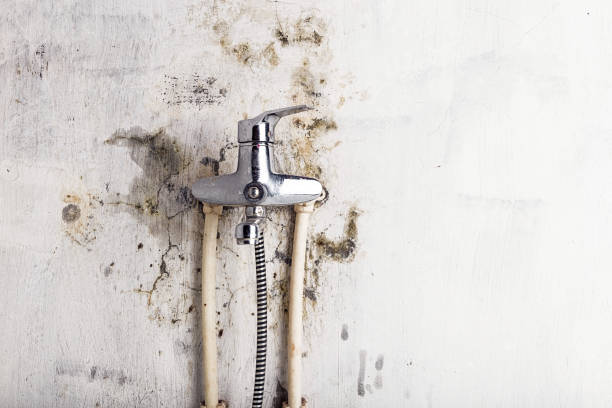 Louisville, NE Mold Remediation Company