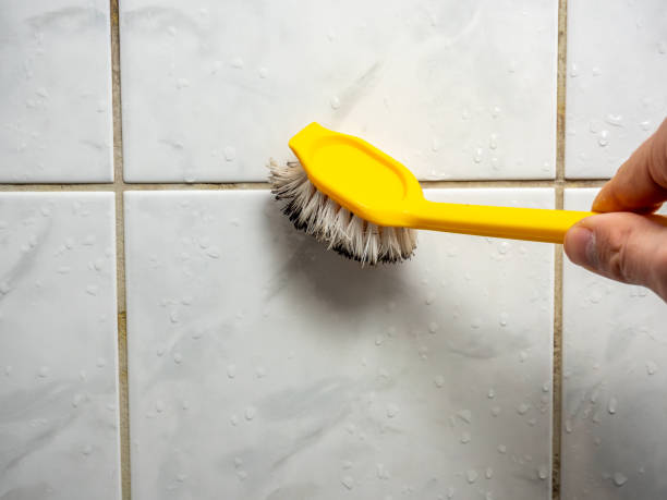 Best Kitchen Mold Remediation in Louisville, NE