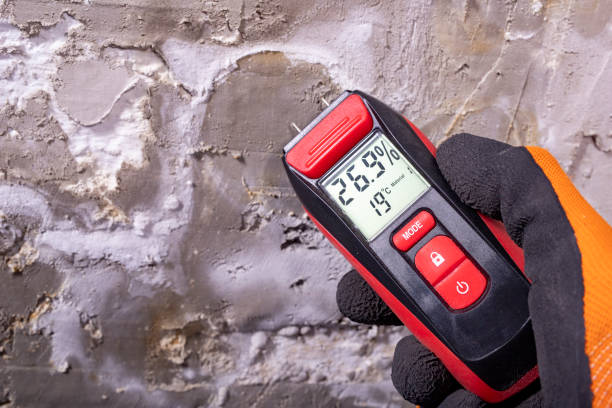 Best Bathroom Mold Remediation in Louisville, NE